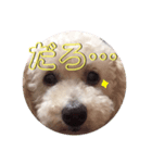 ・・・笑（個別スタンプ：5）