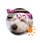 ・・・笑（個別スタンプ：8）