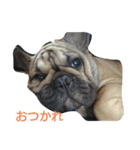 ぶんと友達（個別スタンプ：5）