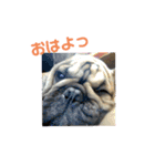 ぶんと友達（個別スタンプ：14）