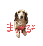 Andy＆Chelsea（個別スタンプ：6）