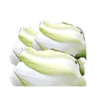 Flower2  クチナシ（個別スタンプ：1）