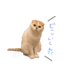 ぶぅ その1（個別スタンプ：5）