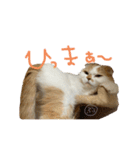 ぶぅ その1（個別スタンプ：14）