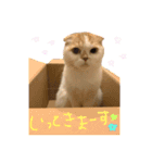 ぶぅ その1（個別スタンプ：16）