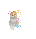 ぶぅ その1（個別スタンプ：17）