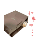 ぶぅ その1（個別スタンプ：19）