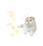 ぶぅ その1（個別スタンプ：20）