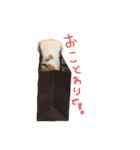 ぶぅ その1（個別スタンプ：21）