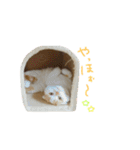 ぶぅ その1（個別スタンプ：22）
