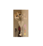 ぶぅ その1（個別スタンプ：24）