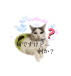 ゆるゆるチェロ＆セバス（個別スタンプ：2）