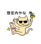 ねこちゃん日常会話スタンプ（個別スタンプ：10）