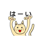 ねこちゃん日常会話スタンプ（個別スタンプ：17）