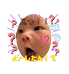 ひなじろ〜（個別スタンプ：9）