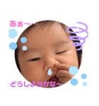 ひなじろ〜（個別スタンプ：12）