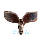 関東1（個別スタンプ：1）