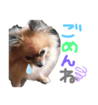 我が家のアイドル(MIX)（個別スタンプ：8）