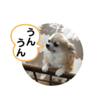 モモ②（個別スタンプ：5）