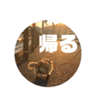 モモ②（個別スタンプ：15）