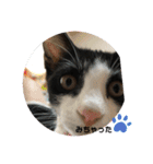 小悪魔！みんと（個別スタンプ：1）