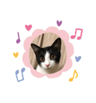 小悪魔！みんと（個別スタンプ：7）