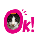 小悪魔！みんと（個別スタンプ：9）