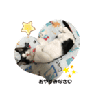 小悪魔！みんと（個別スタンプ：12）