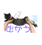 ♥︎MERU♥︎（個別スタンプ：5）