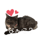 ♥︎MERU♥︎（個別スタンプ：9）