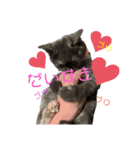 ♥︎MERU♥︎（個別スタンプ：19）