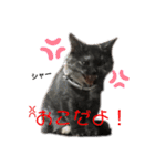 ♥︎MERU♥︎（個別スタンプ：23）
