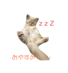 らぶちょこ（個別スタンプ：3）