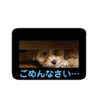 メロちゃんの日常（個別スタンプ：7）