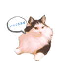 おかっぱちゃん日常会話（個別スタンプ：3）