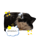 おかっぱちゃん日常会話（個別スタンプ：5）