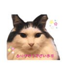 おかっぱちゃん日常会話（個別スタンプ：7）