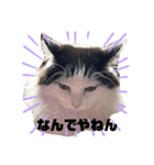 おかっぱちゃん日常会話（個別スタンプ：8）