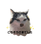 おかっぱちゃん日常会話（個別スタンプ：9）