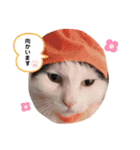 おかっぱちゃん日常会話（個別スタンプ：12）