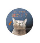 ルネさんの日常的に使える可愛いスタンプ 1（個別スタンプ：1）