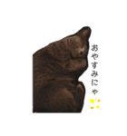 ルネさんの日常的に使える可愛いスタンプ 1（個別スタンプ：8）