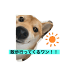 ちくわちゃん ❷（個別スタンプ：1）