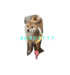 ちくわちゃん ❷（個別スタンプ：3）