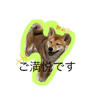ちくわちゃん ❷（個別スタンプ：7）