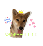 ちくわちゃん ❷（個別スタンプ：10）