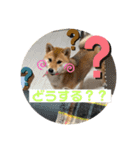 ちくわちゃん ❷（個別スタンプ：16）