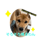 ちくわちゃん ❷（個別スタンプ：18）