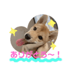 ちくわちゃん ❷（個別スタンプ：22）
