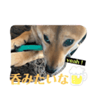 ちくわちゃん ❷（個別スタンプ：24）